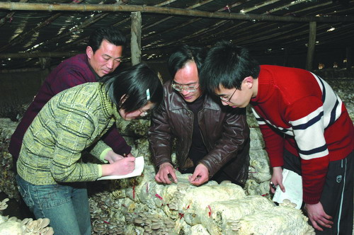 研究性学习小组在进行食用菌研究